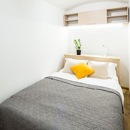 New Large 2 Bedroom In Lviv Historic Centre Kültér fotó